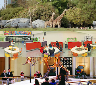 SERVICIO EN TRANSPORTE EN SERVICIOS ESPECILES Y RECREATIVOS